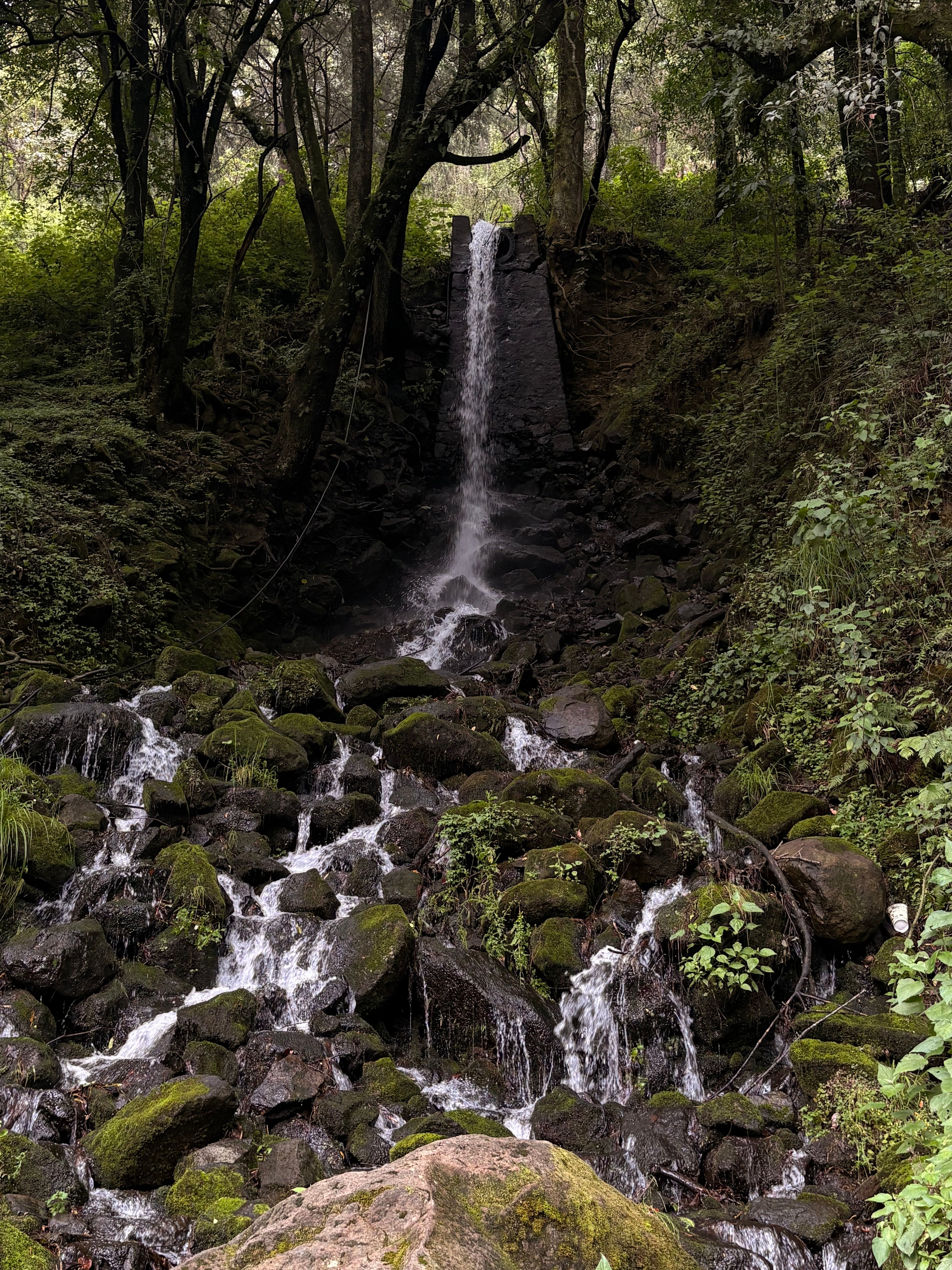 Tranquil waterfall cascading over moss-covered rocks in a lush forest setting, perfect for nature enthusiasts.