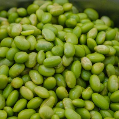 Fresh green peas — photo by umberto dez on Pexels