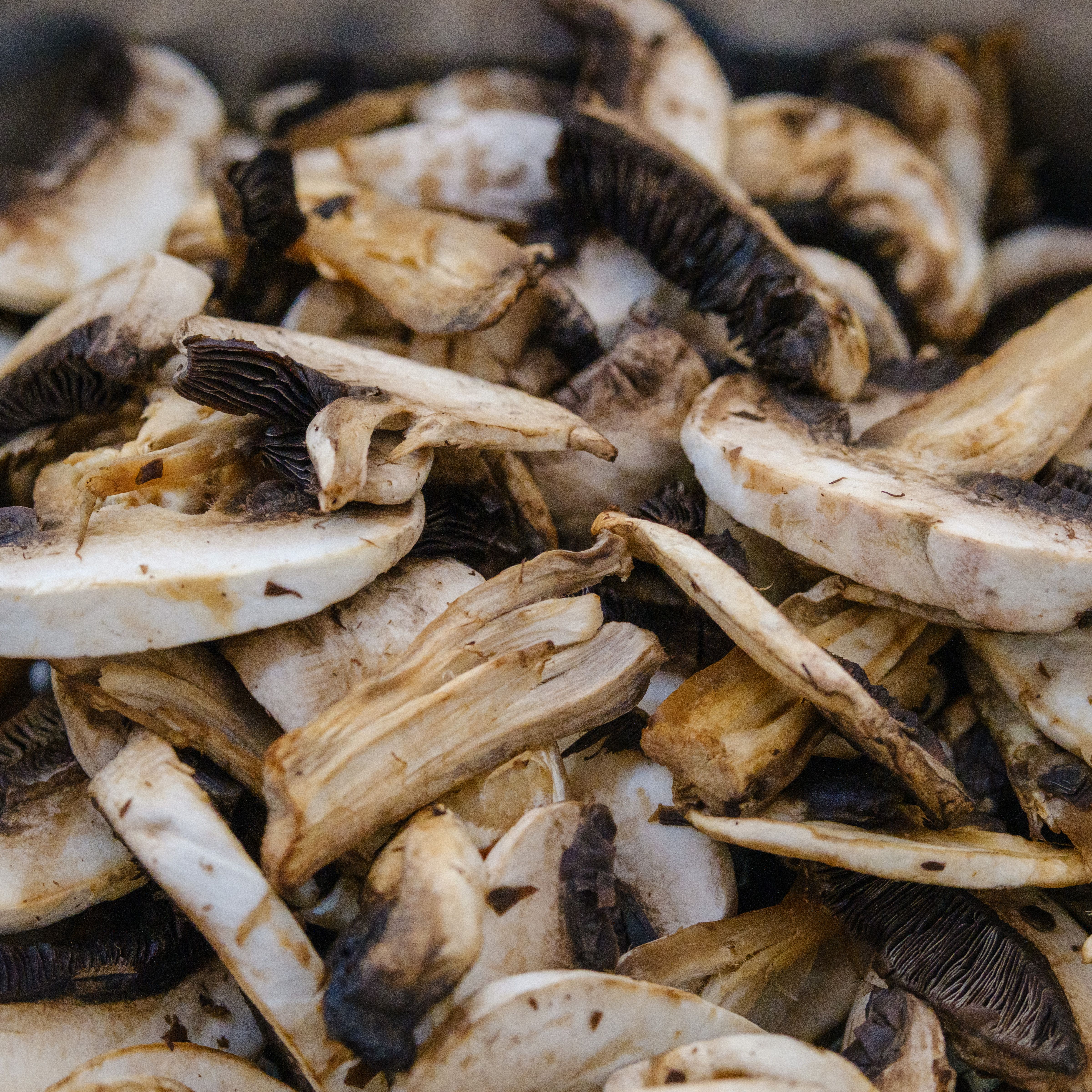 Sliced mushrooms — photo by umberto dez on Pexels
