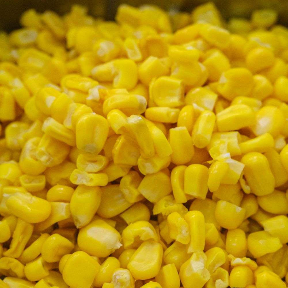 Close view of yellow corn kernels