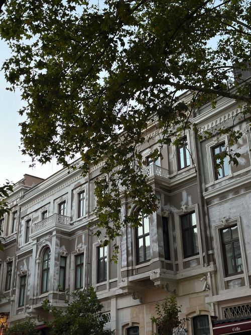 Free Ornate historic building facade under a leafy tree in İstanbul, Türkiye. Stock Photo