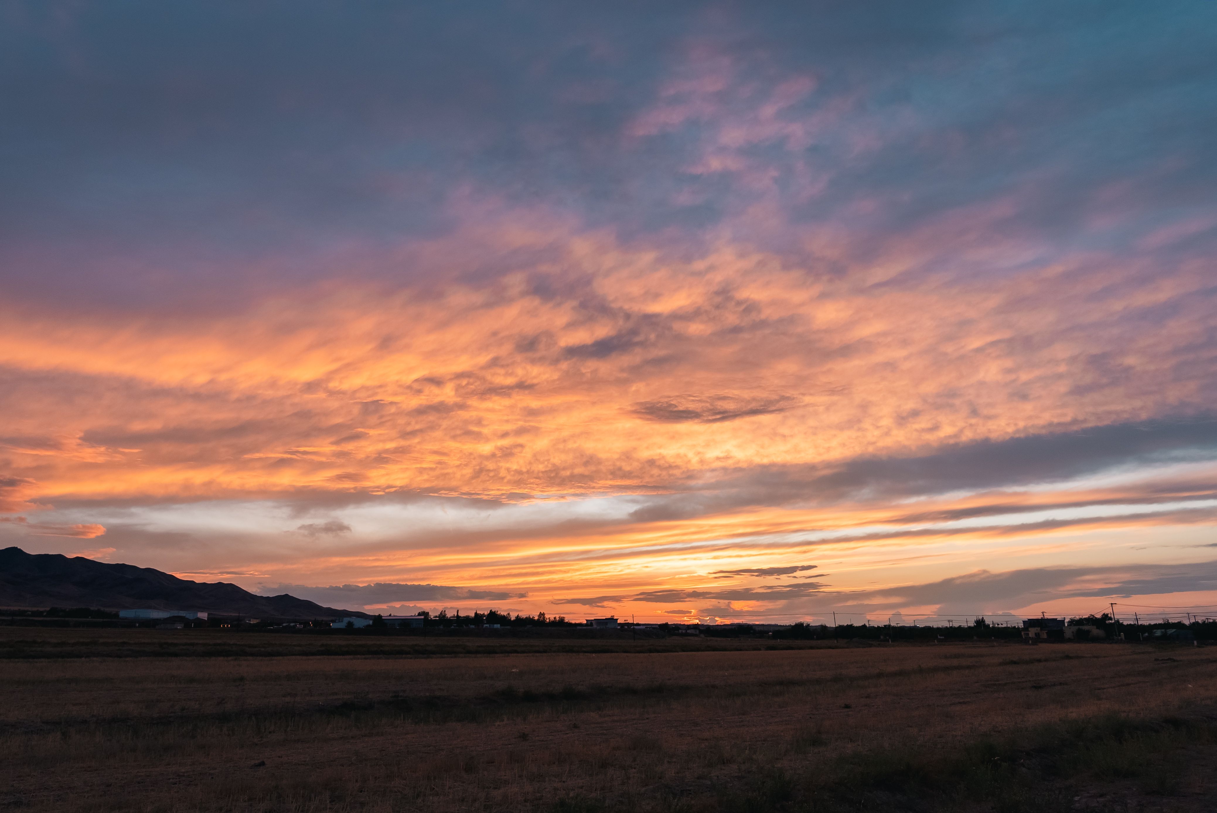 Nature-Based Solutions Play Key Role in Improving New Mexico’s Climate Resilience — Photo by Lywin on Pexels