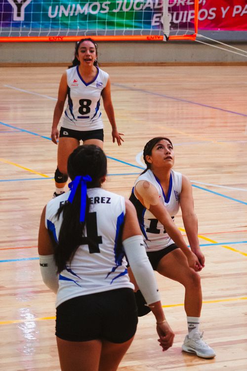 Free Action shot of a women's volleyball team playing indoors in Mexico City. Stock Photo