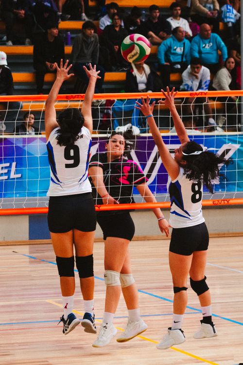 Free Competitive women's volleyball match with players jumping for the ball indoors. Stock Photo