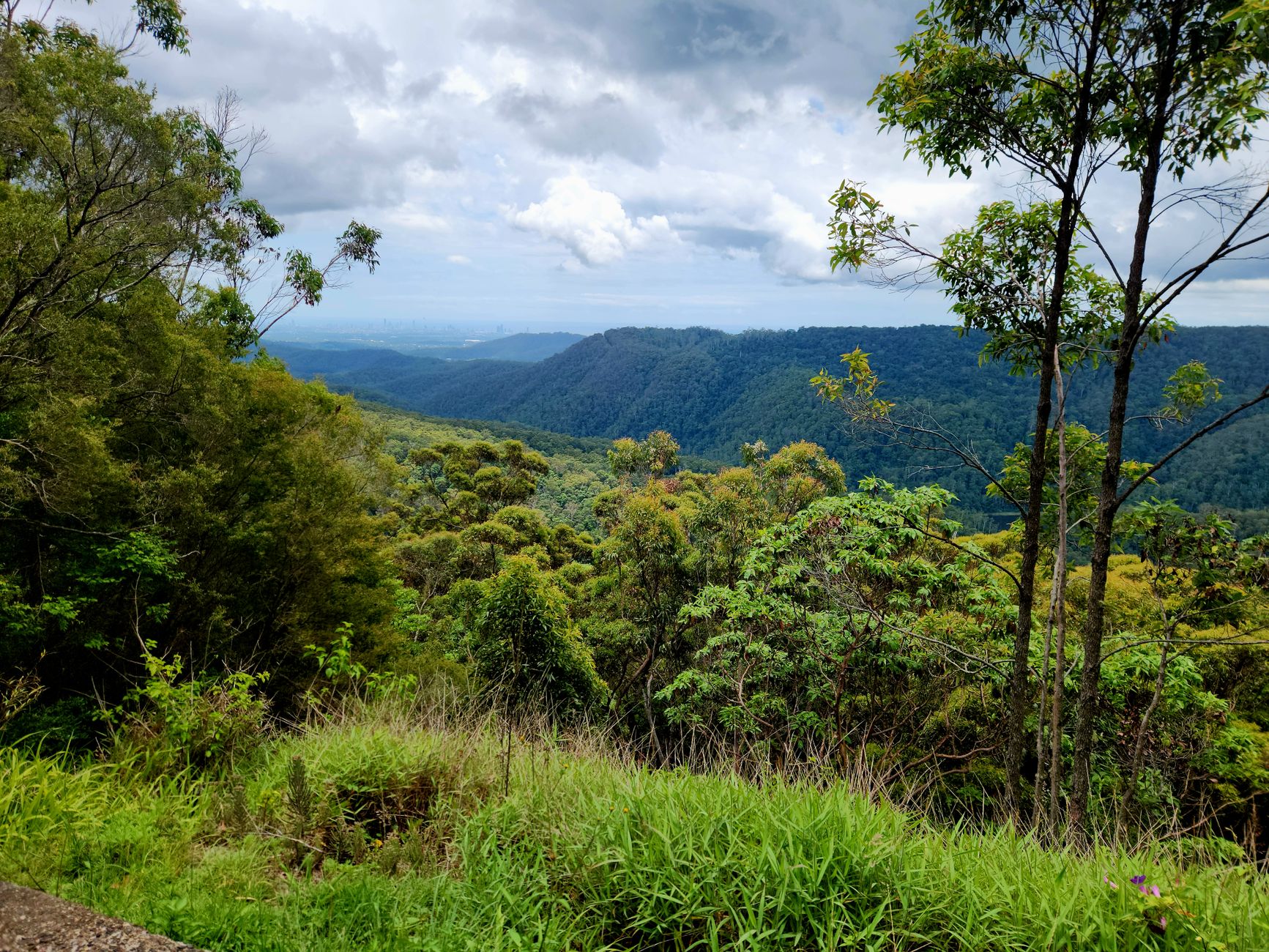 Grand Etang National Park & Forest Reserve