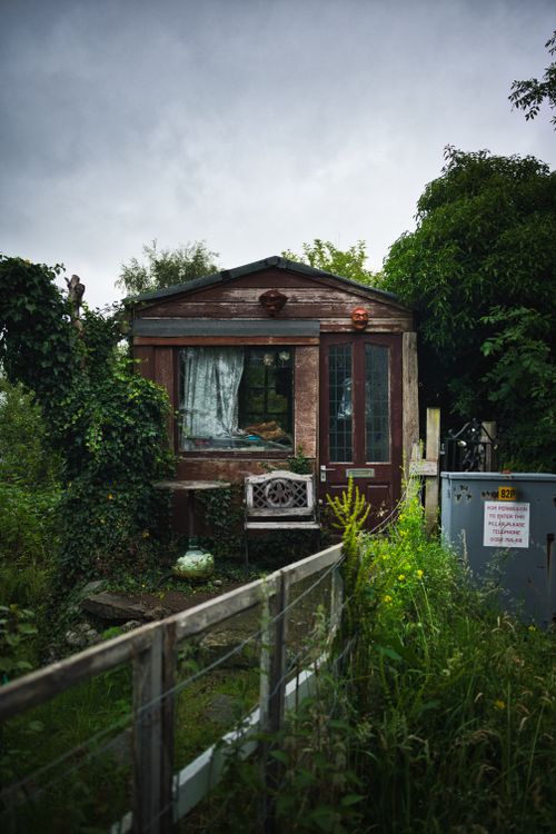 Free Explore the charm of an overgrown rustic cabin, with lush greenery and wooden textures. Stock Photo