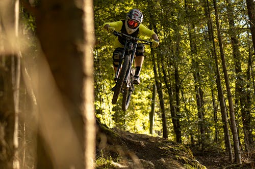 ağaçlar, aksiyon, dağ bisikletçileri içeren Ücretsiz stok fotoğraf