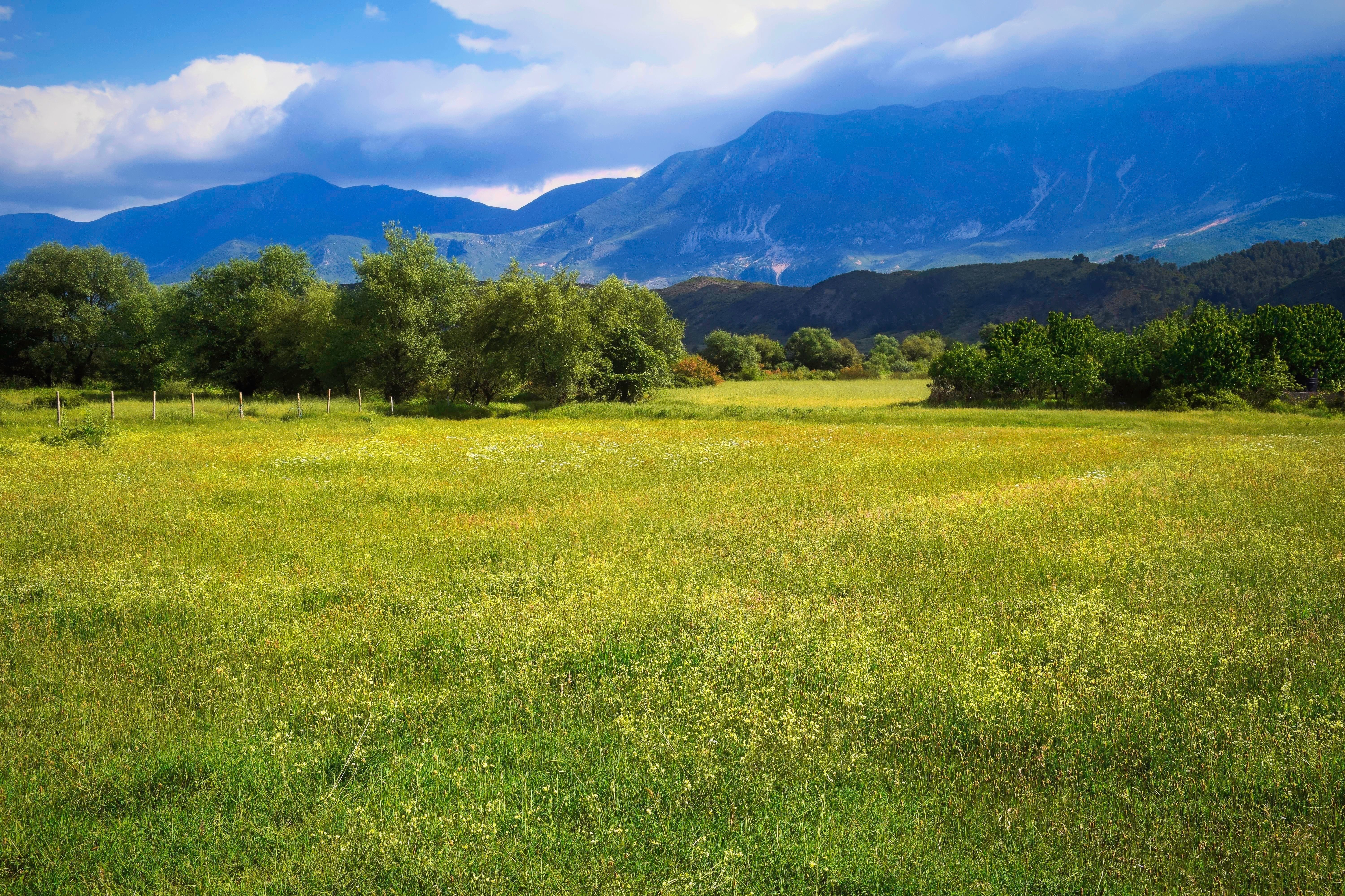 Vourgareli, Tzoumerka · φωτογραφία περιοχής 1