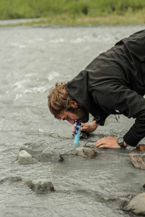 Fotobanka s bezplatnými fotkami na tému Aljaška, aljašský, lifestraw