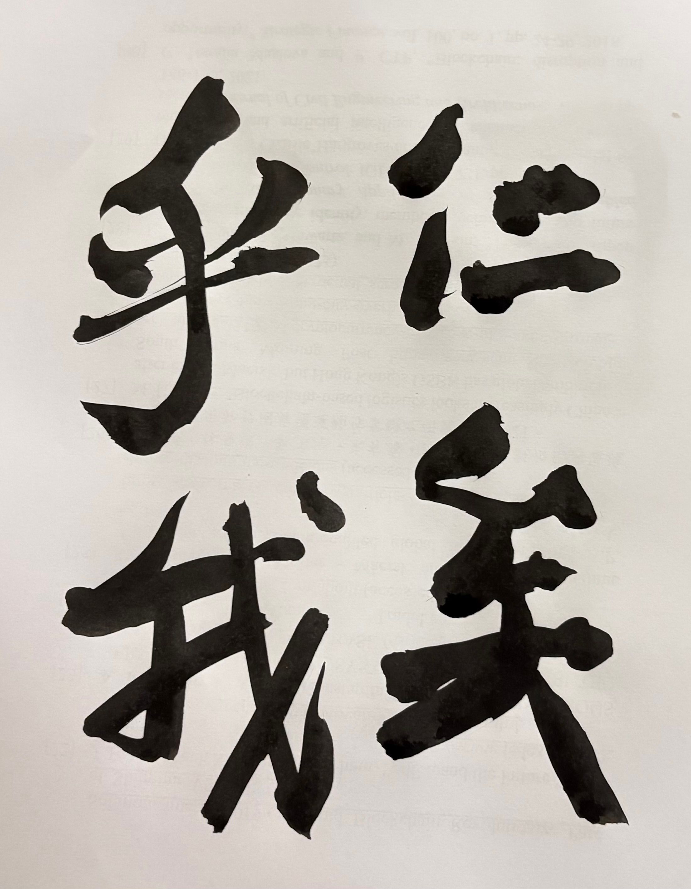 chinese character brush writing strokes