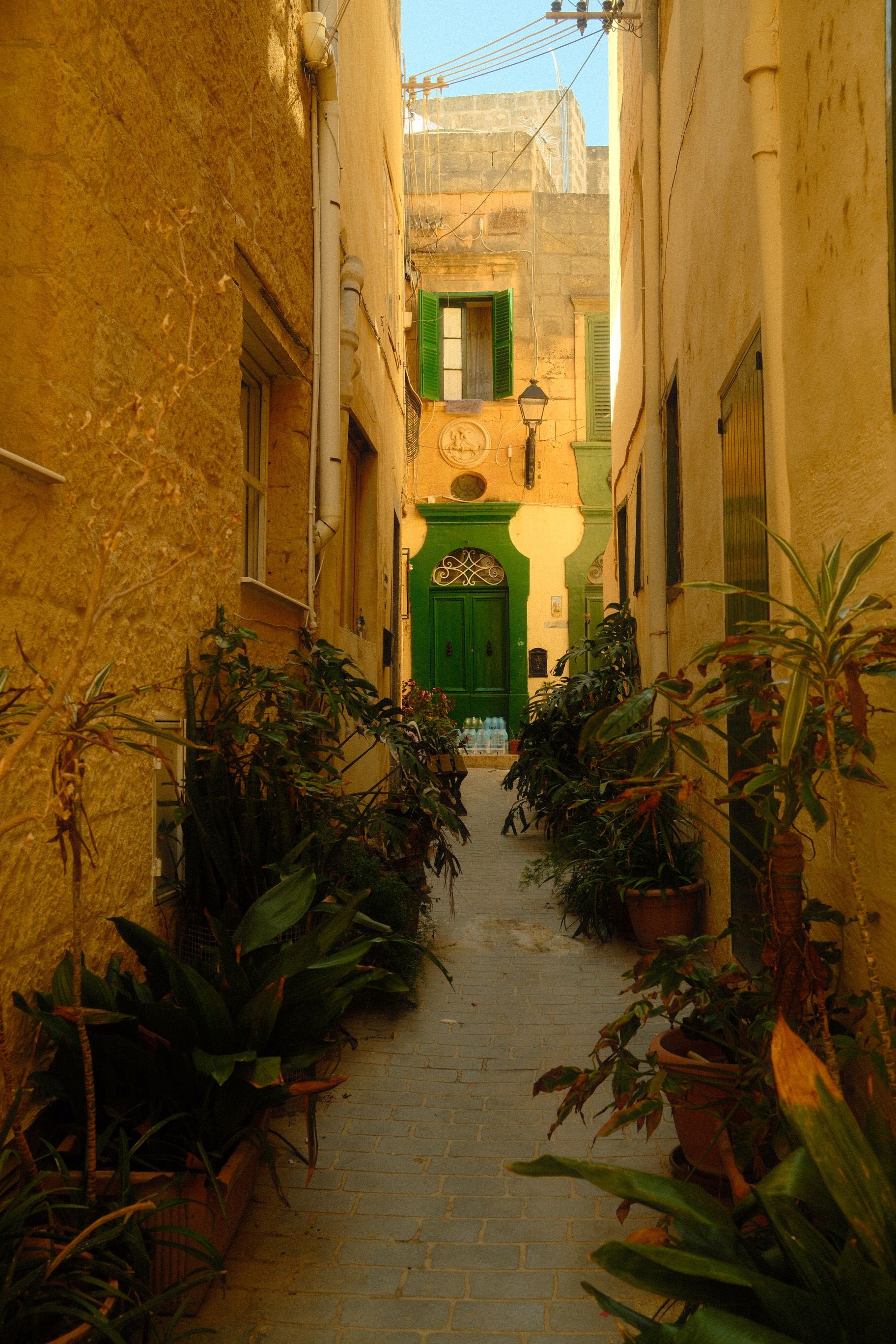 Explore a picturesque alley in Malta with vibrant greenery and historic architecture.