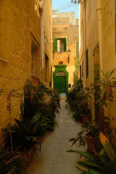 Explore a picturesque alley in Malta with vibrant greenery and historic architecture.