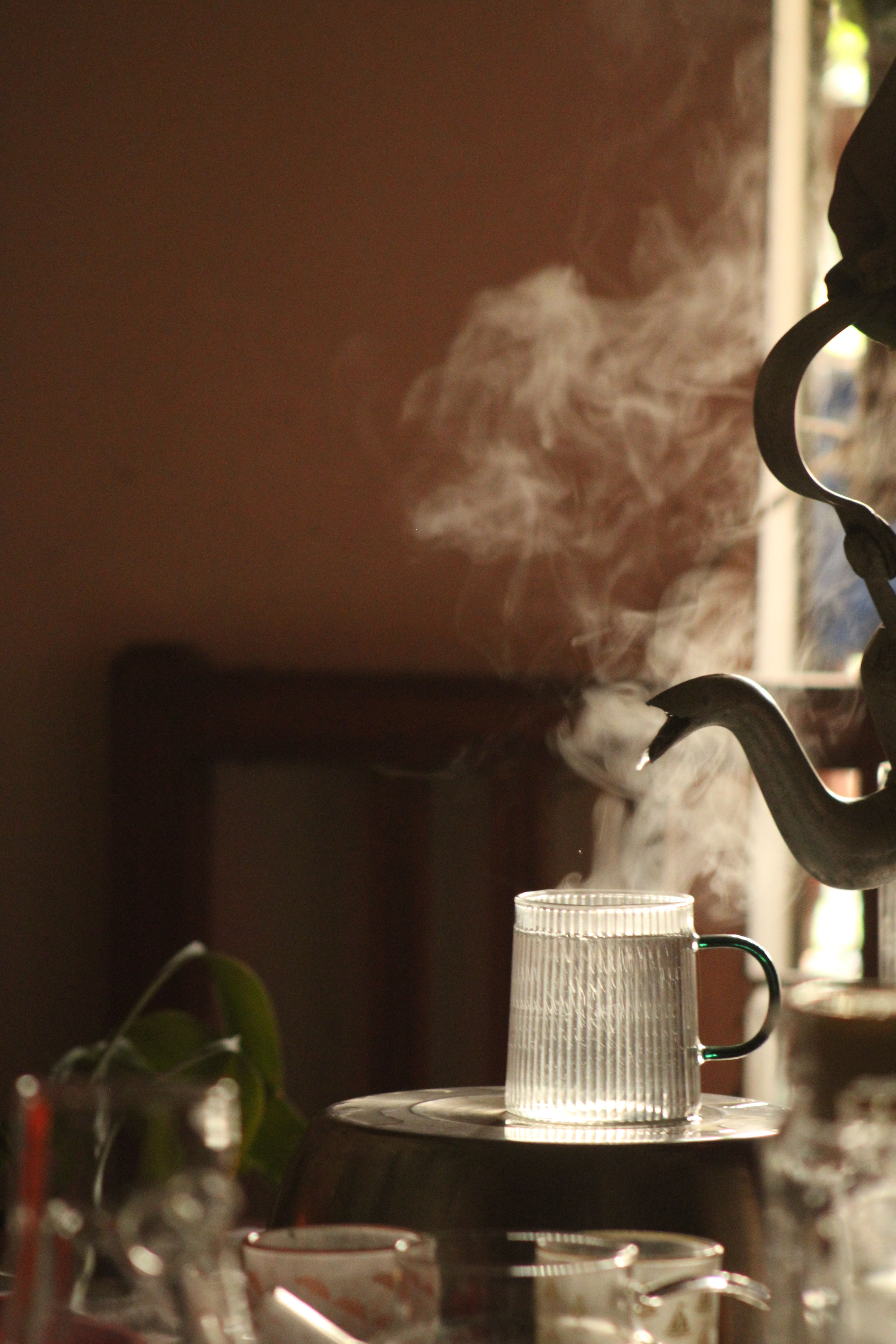 jujube tea cup steam