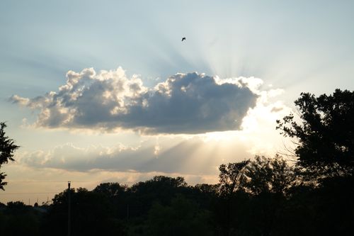 Free Serene sunset with clouds and radiant sunrays over a forested horizon capturing nature's beauty. Stock Photo