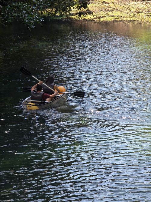 Free Two people canoeing on a tranquil lake surrounded by nature. Stock Photo