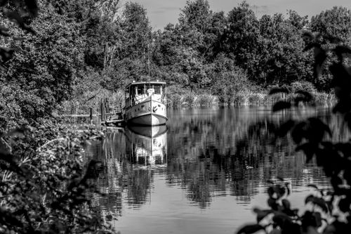 Free Black and white photo of a boat docked on a calm river surrounded by dense trees. Stock Photo
