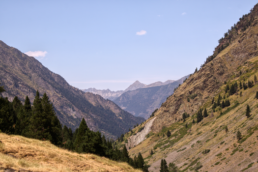 Breathtaking view of the Pyrenees Mountains in Occitanie, France, with lush greenery.