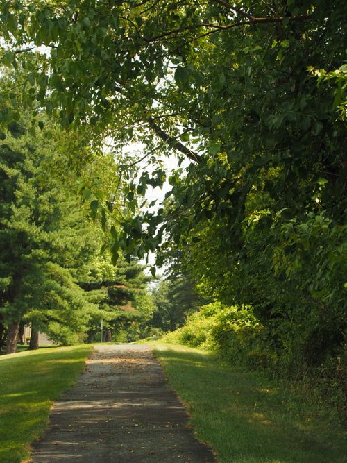 Free Serene tree-lined path in Horsham, Pennsylvania, perfect for a tranquil walk. Stock Photo