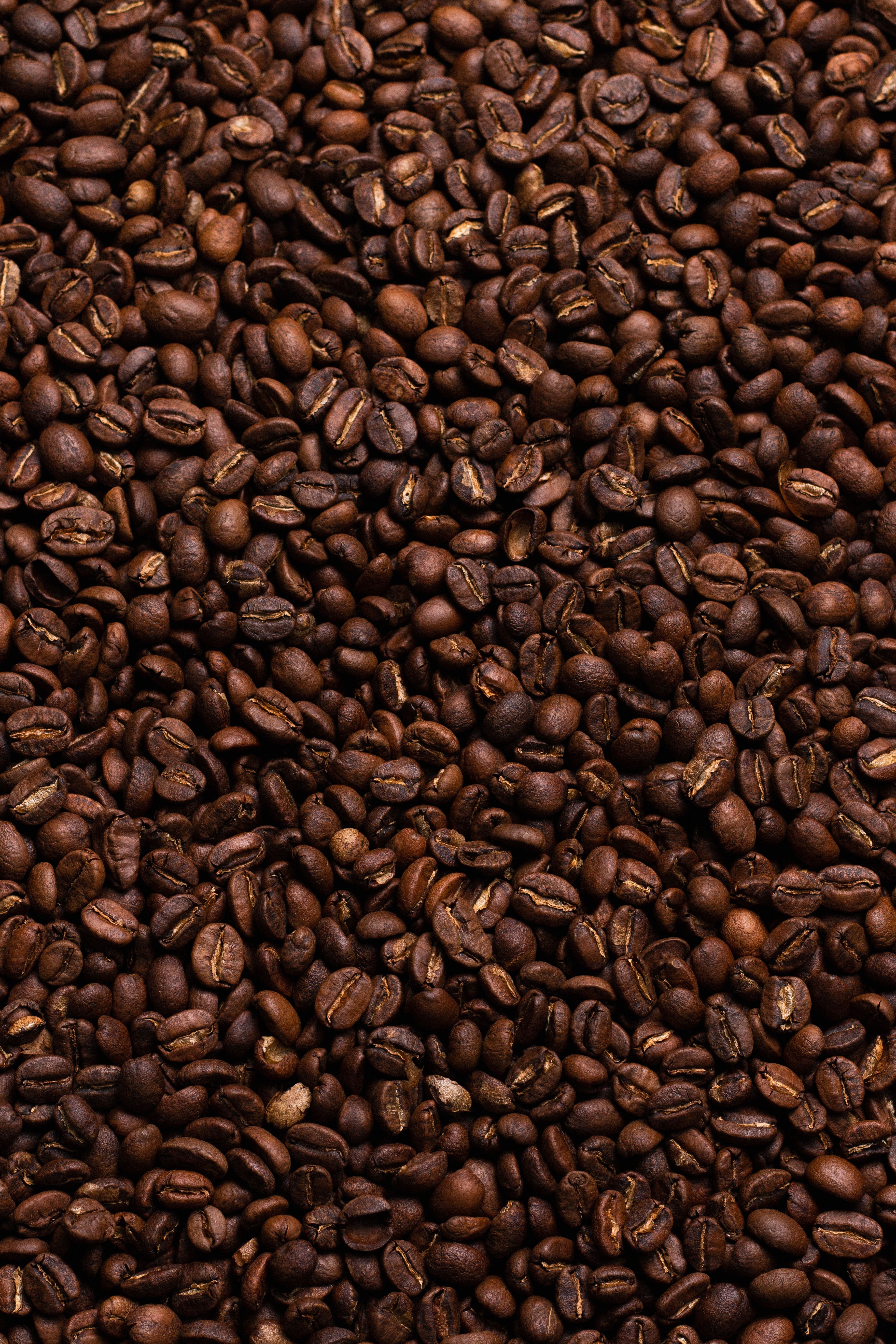 Granos de café tostados de alta densidad en reposo para preparación espresso