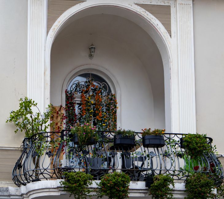 How I Transformed My Small Lagos Balcony into a Lush Oasis