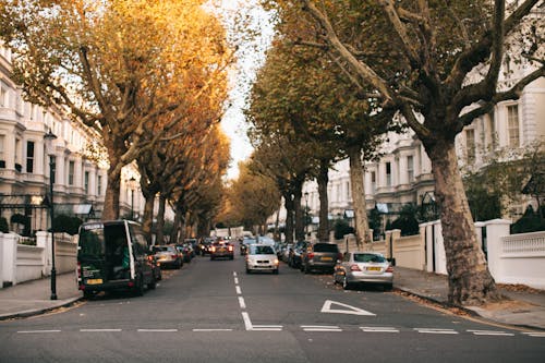 Cars driving on asphalt road near parked vehicles and white buildings in city district during sunset