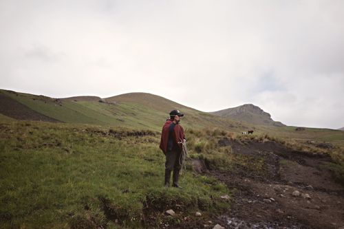 Free An Ecuadorian herder stands with livestock in a vibrant Andean landscape, showcasing rural life. Stock Photo