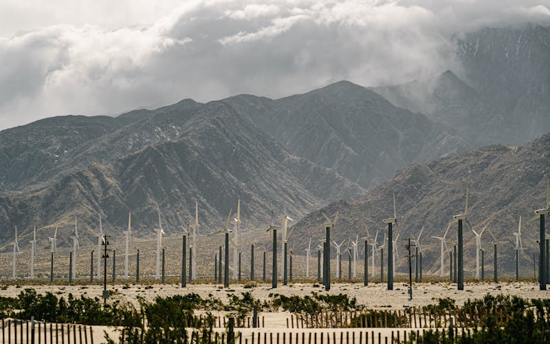 Sustainability at Megreen