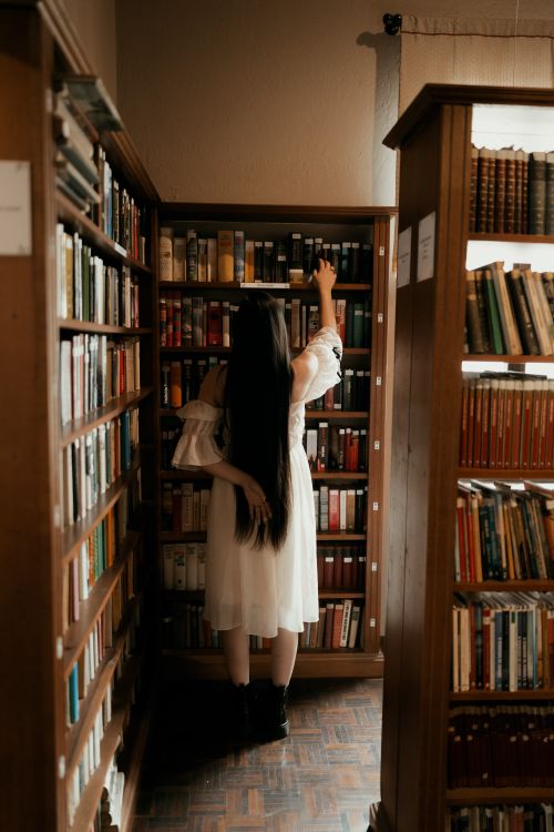 Free A woman explores a library, reaching for a book on a wooden shelf amidst a warm ambiance. Stock Photo