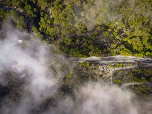 Clouds over green trees and curvy road