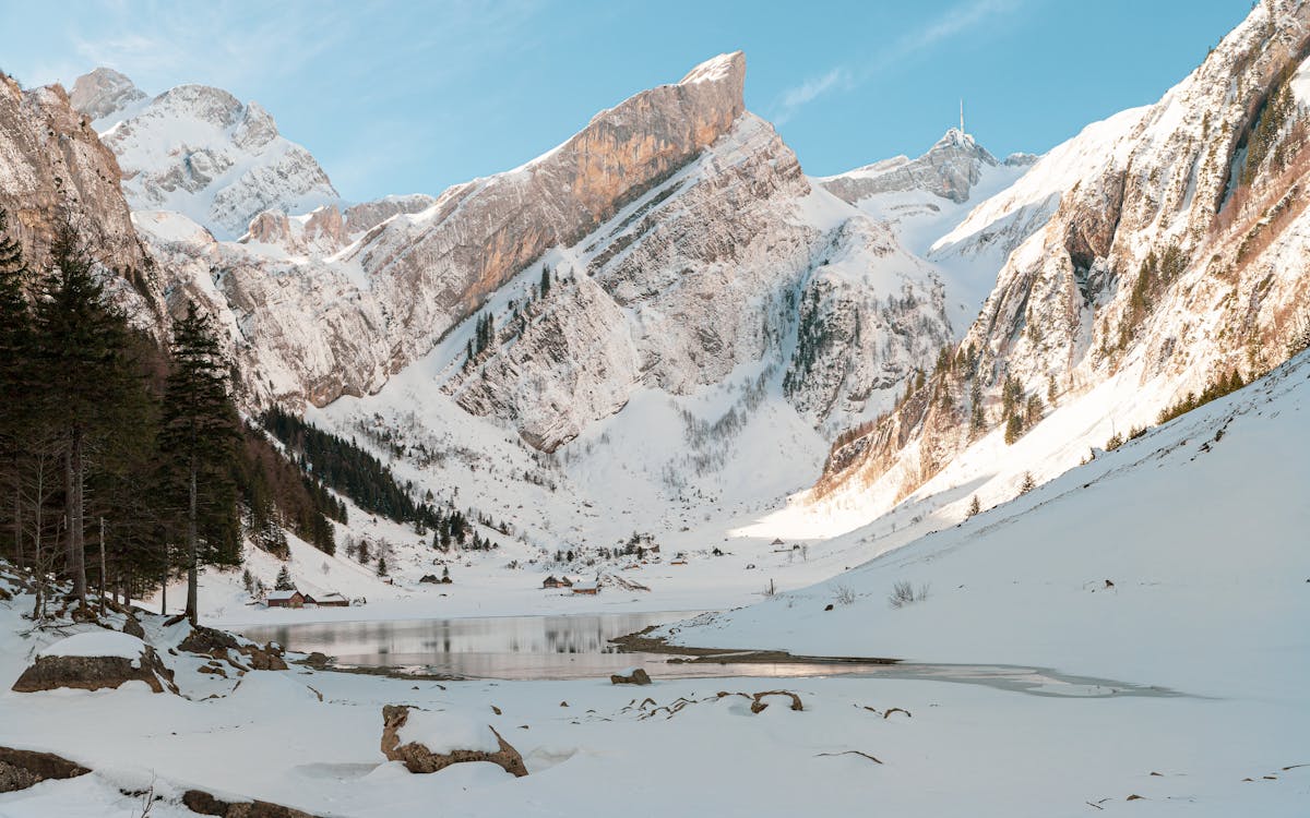 下雪的, 全景, 冬季 的 免費圖庫相片