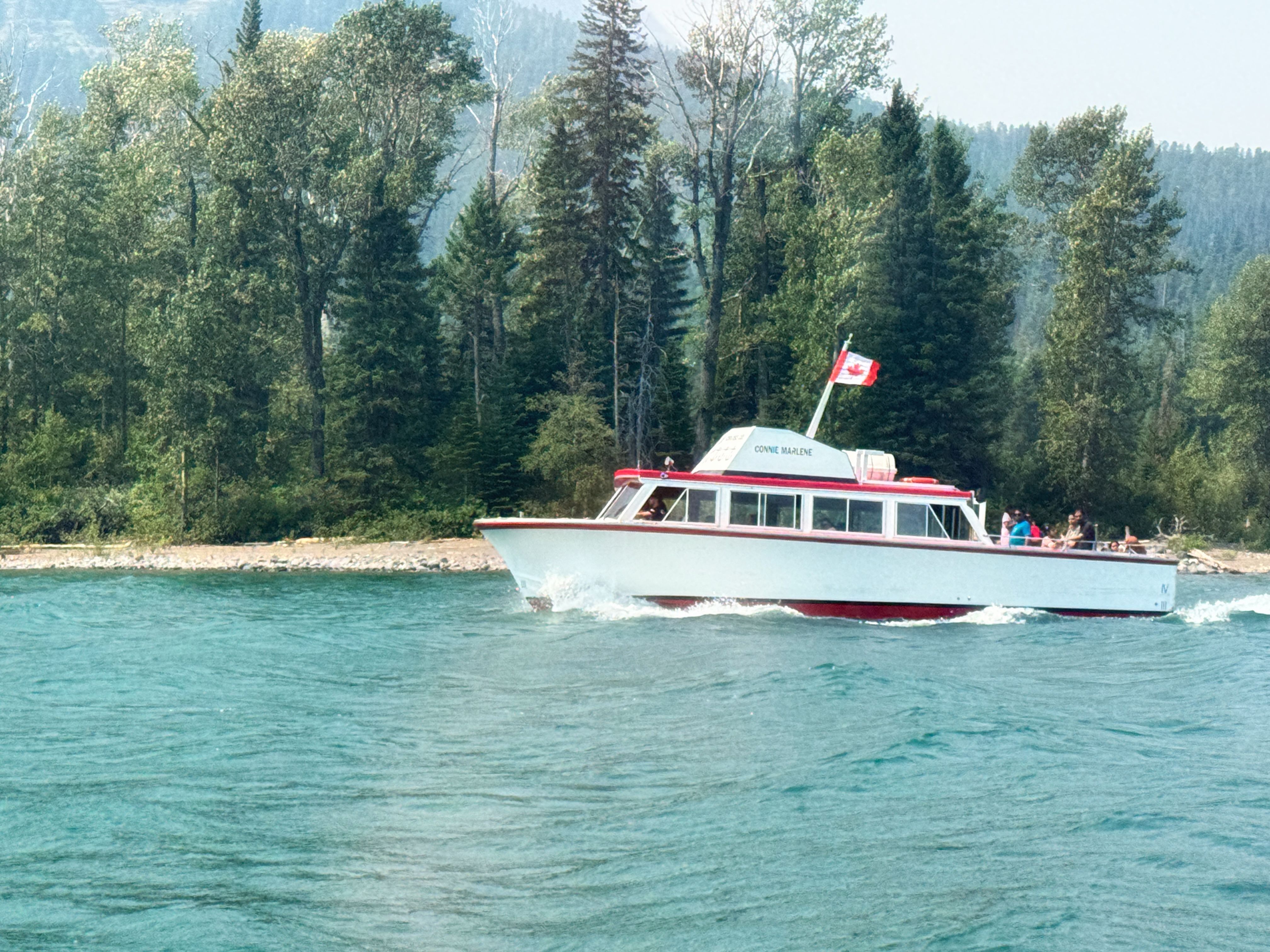 A red and white boat cruises along Waterton Lake, surrounded by lush green forests and mountains in summer.