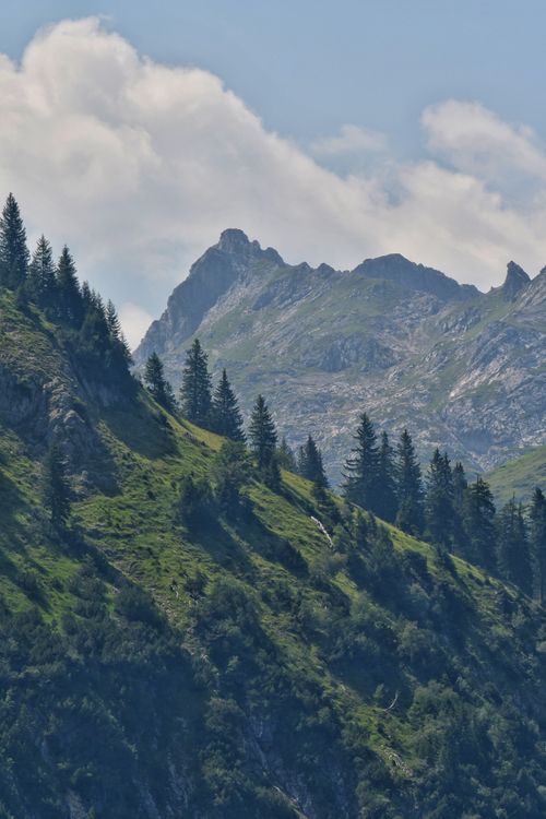 Free Breathtaking view of a lush green mountain landscape with pine trees and rocky peaks under a blue sky. Stock Photo