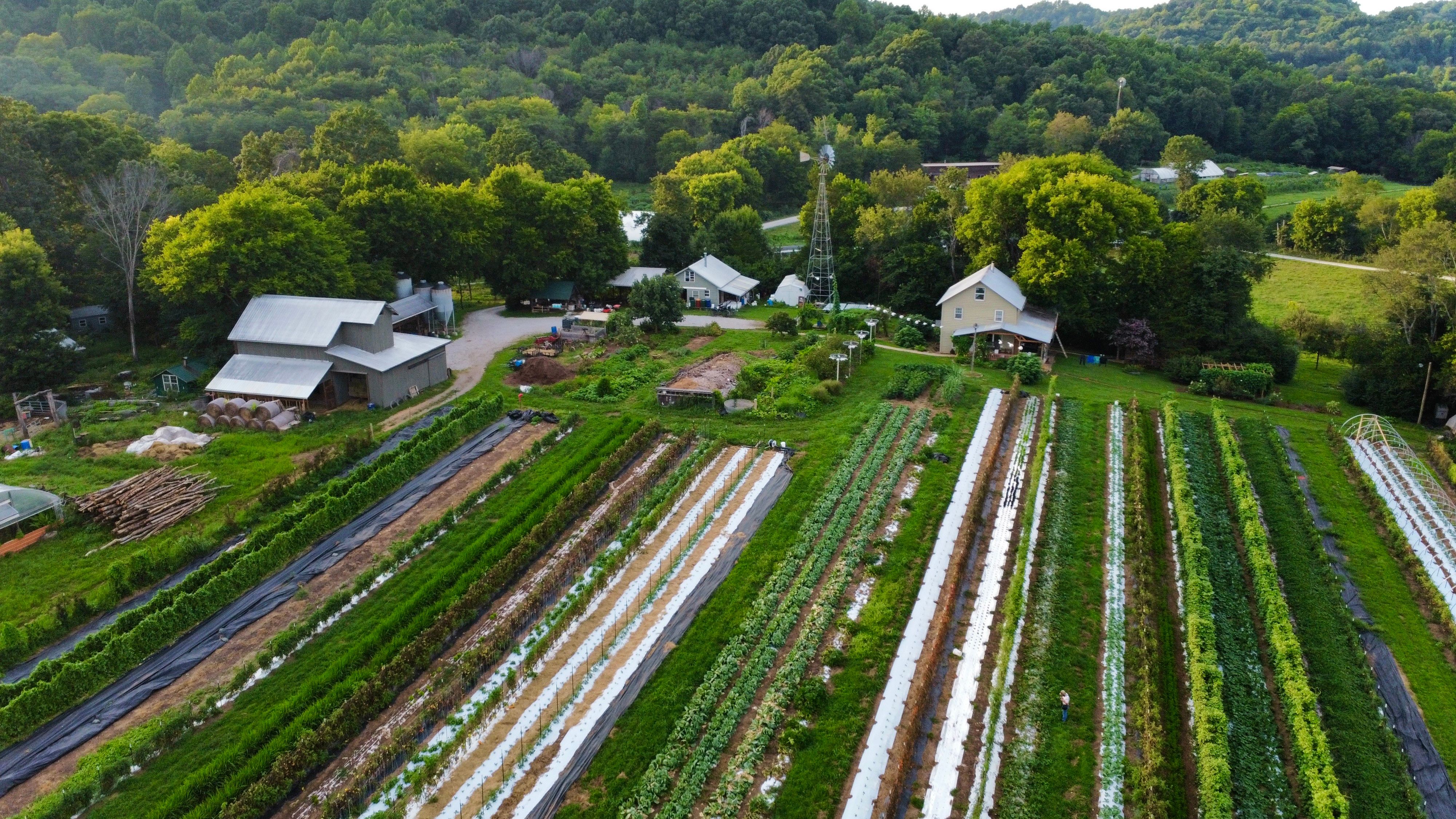 Edible Garden Partners with Tennessee Farm to Reduce Costs