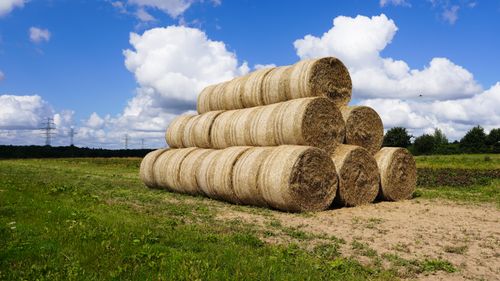 Free Stacked hay bales in a sunny Schleswig-Holstein field under a blue sky. Stock Photo