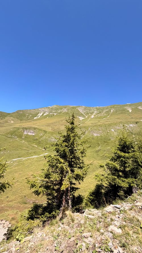 Free Explore a serene alpine landscape with lush greenery and clear blue skies in Brienz, Switzerland. Stock Photo