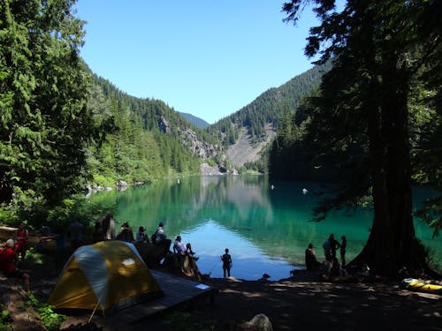 Foto profissional grátis de acampamento, água, árvores