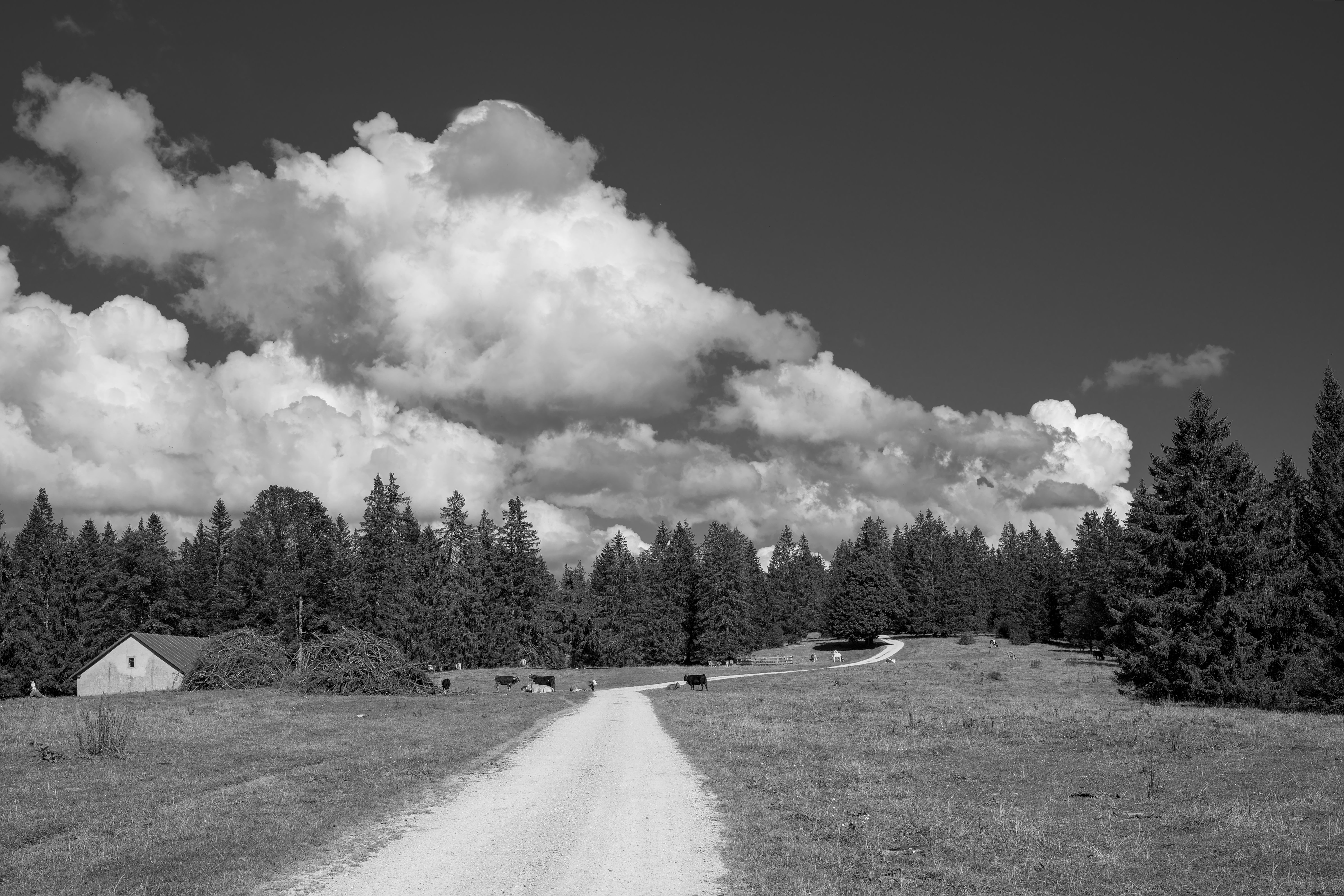 A picturesque black and white landscape with a country road under dramatic clouds.