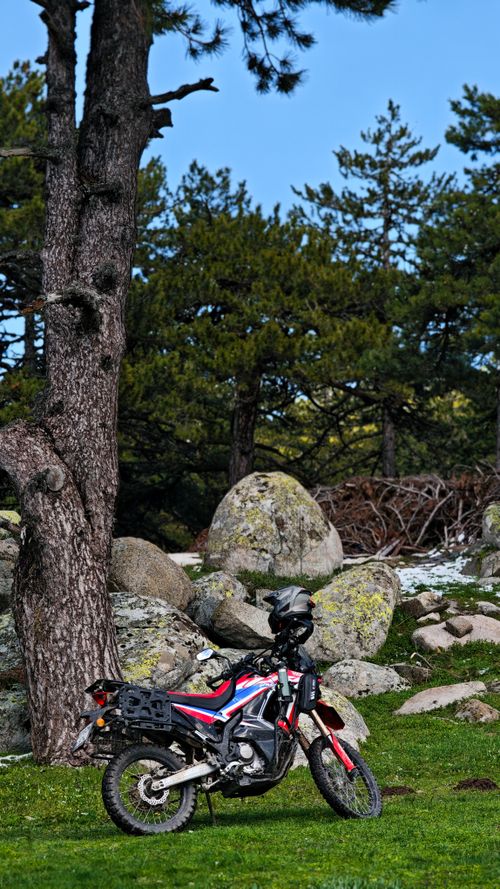 Free A red motorcycle parked near rocks and trees in a serene forest scene. Stock Photo