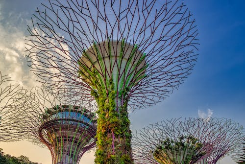 Gardens by the Bay Under the Blue Sky