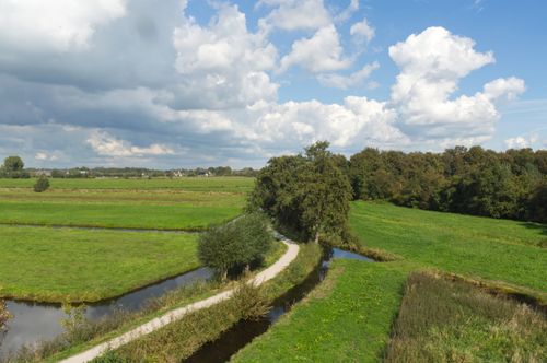 Free Explore the lush greenery and serene pathways of the Dutch countryside in summer. Stock Photo