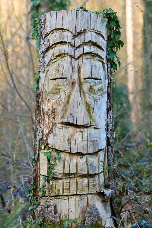 Free Wooden face carving on a tree trunk surrounded by forest in Ainring, Germany. Stock Photo