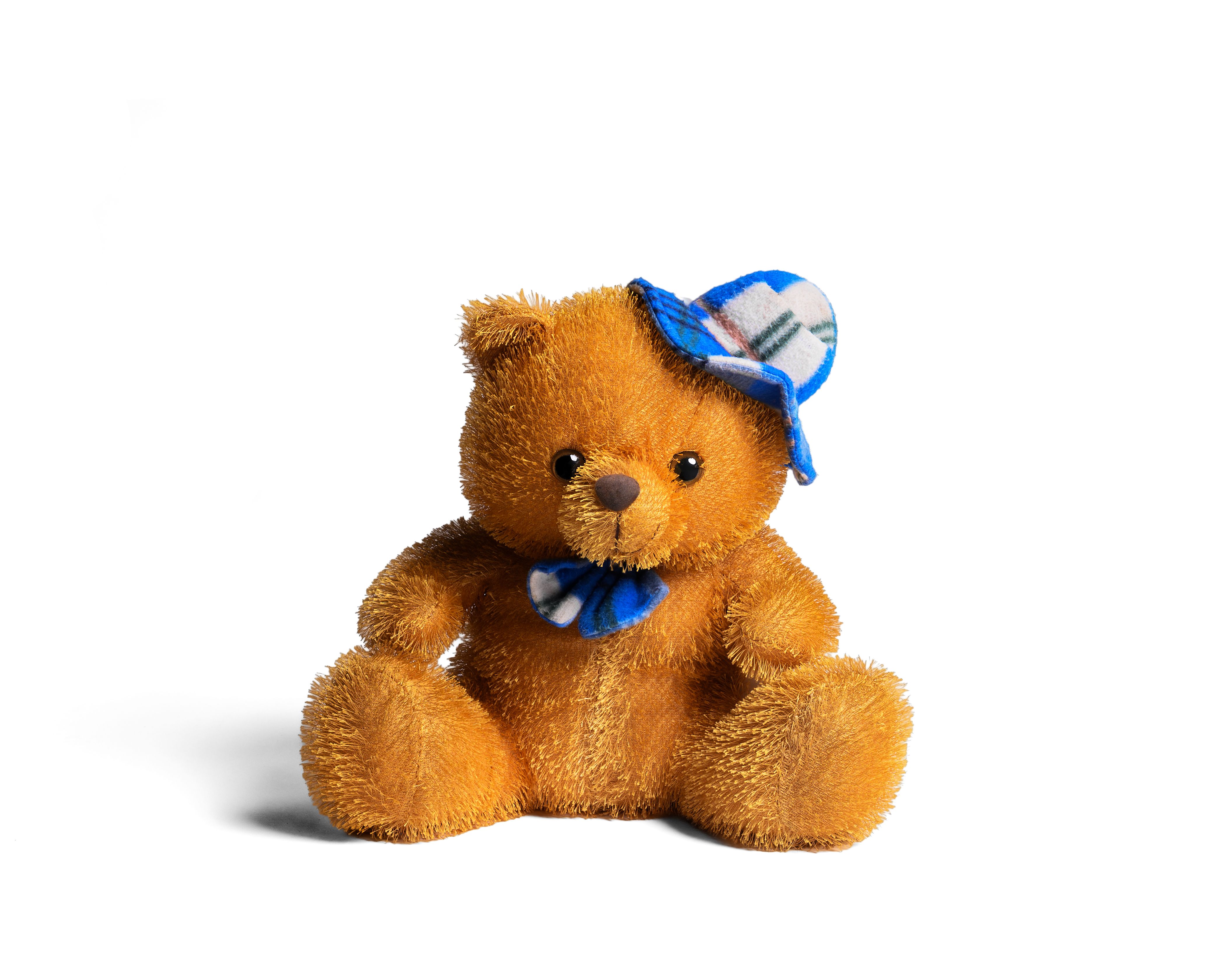 Bear Greg - A Seamless Future