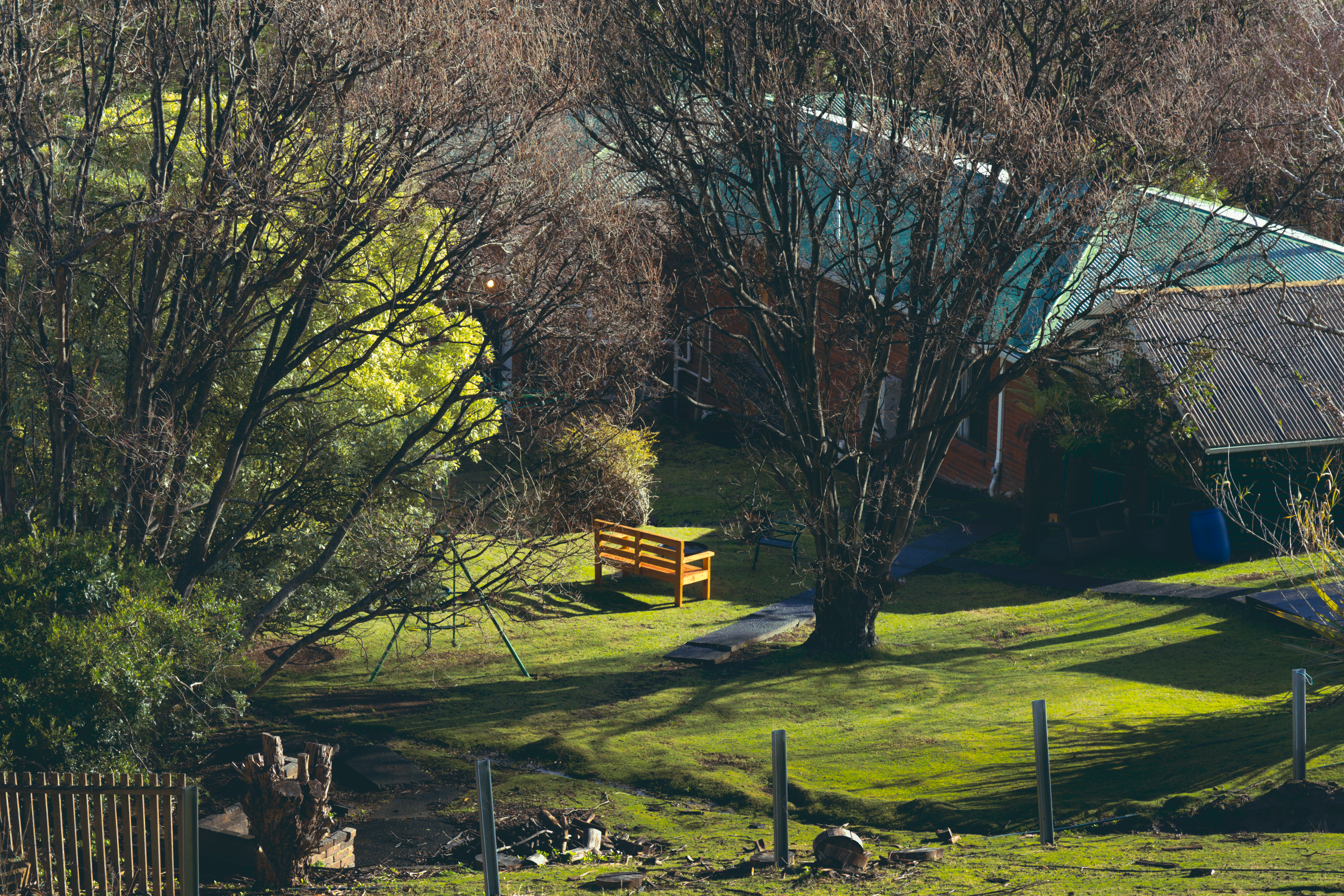 Quaint rustic backyard scene with a wooden bench, abundant greenery, and warm sunlight.