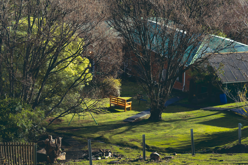 Photo by Khanh Dang on Pexels Quaint rustic backyard scene with a wooden bench, abundant greenery, and warm sunlight.