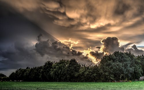 Green Grass Field Under Gray Skies