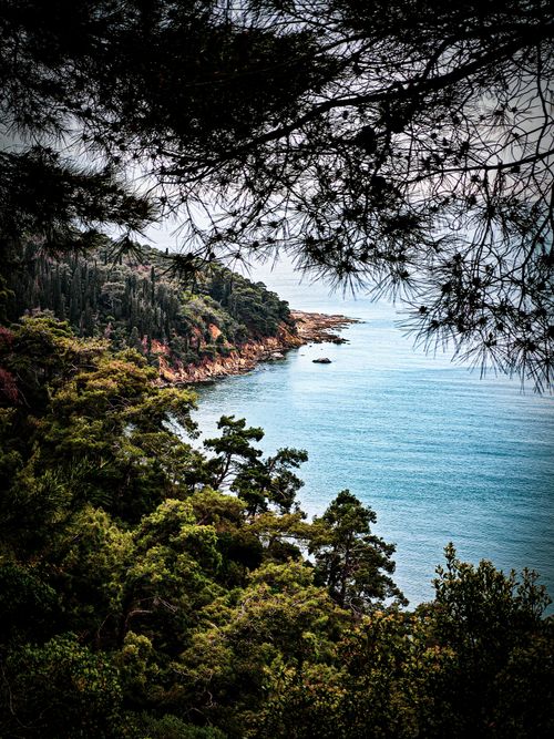Free Lush greenery frames a serene Mediterranean coastline under a cloudy sky. Stock Photo