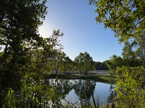 Free Serene view of a tranquil lagoon surrounded by lush green trees under a clear blue sky in Australia. Stock Photo