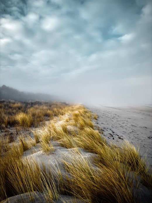 Coastal dunes under low fog — Chsy Andersn on Pexels