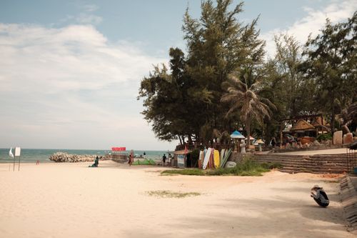 Free Tranquil sandy beach scene featuring surfboards, tall trees, and a calm ocean in a pristine setting. Stock Photo