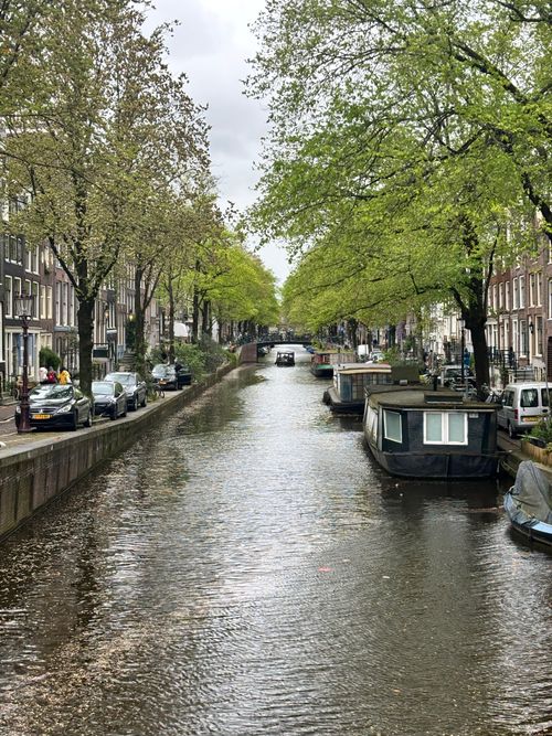 Free Charming view of Amsterdam canal lined with houseboats and trees in springtime. Stock Photo